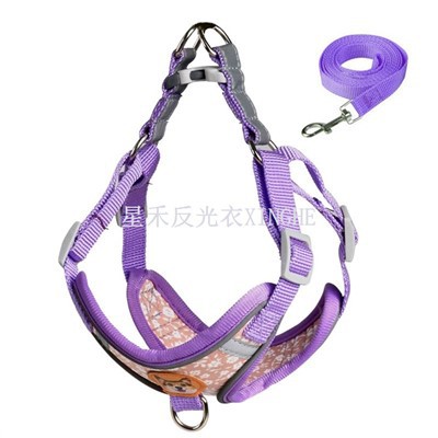 নিরাপত্তা প্রতিফলিত চাবুক কুকুর