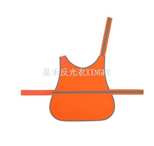 পোষা প্রতিফলিত ন্যস্ত করা